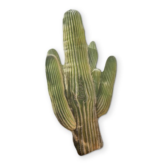 0004 CactusFront