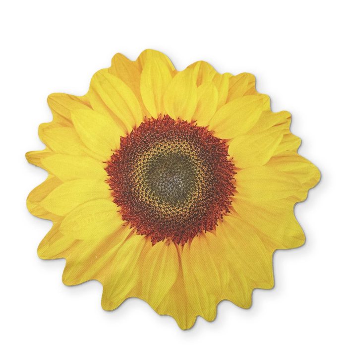0008 SUNFLOWERFRONT