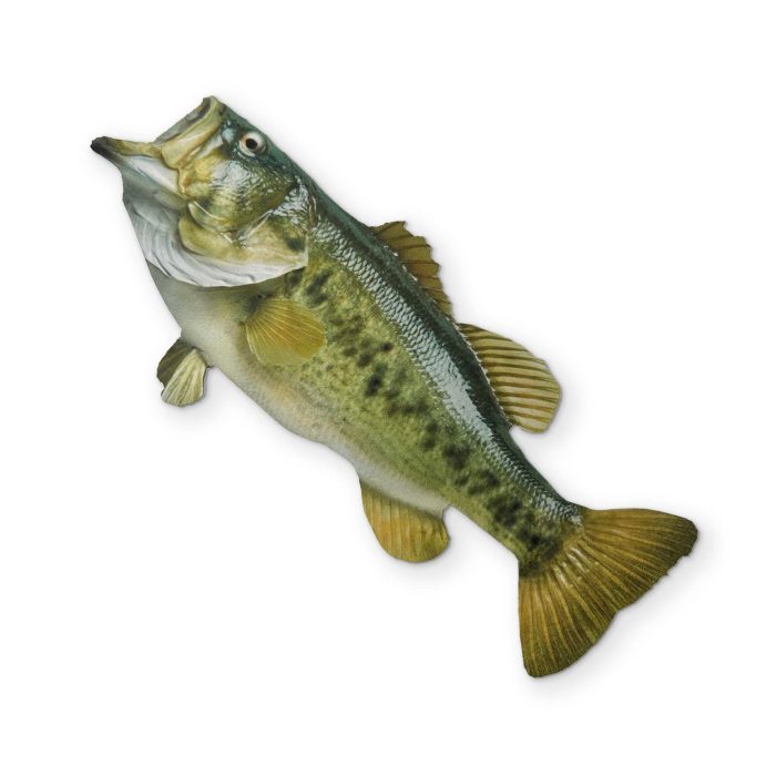 BATCH2 0010 BASSFRONT