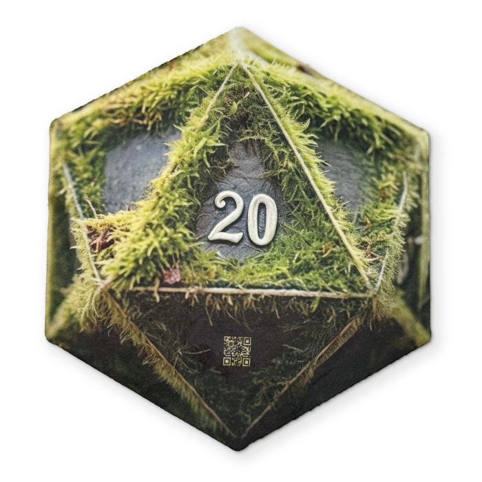 GameStuff 0004 D20FRONT