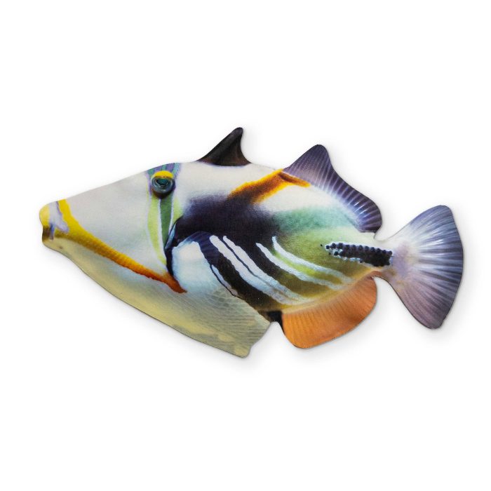 TRIGGERFISH 0001 FRONT