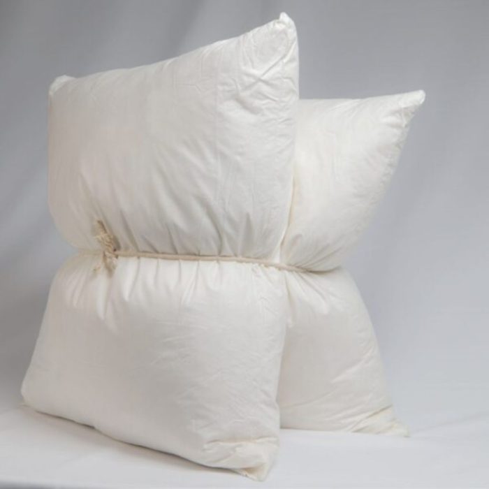 scattercushioninner 71be9466 e756 46c8 b1ef 456ff6aba94c